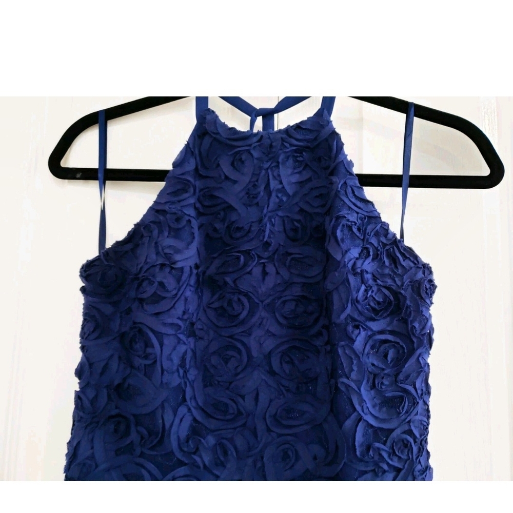 BCBGMaxAzria Royal Blue Garment